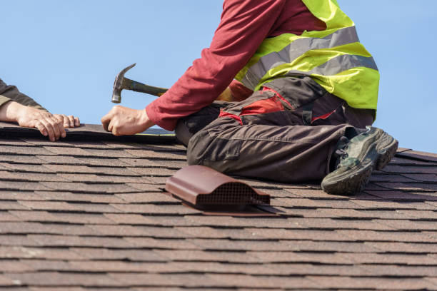 Best Metal Roofing Contractor  in Erie, PA