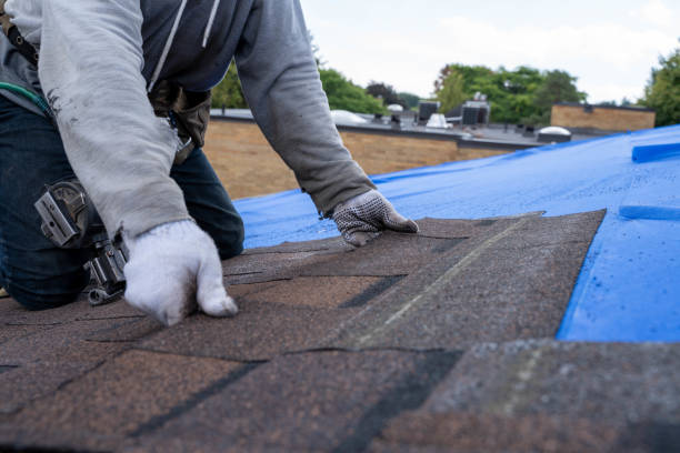 Best Flat Roof Repair Services  in Erie, PA