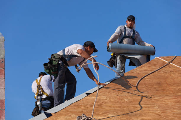 Best Emergency Roof Repair  in Erie, PA
